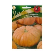 Nasiona Dyni olbrzymiej Rouge vif d'Etampes 3g