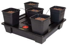 System hydroponiczny WILMA XXL 5 x 25L - 115x115xh20cm
