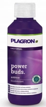 Plagron Power buds 100ml | zwiększa zawiązywanie się kwiatów oraz przyspiesza proces kwitnienia
