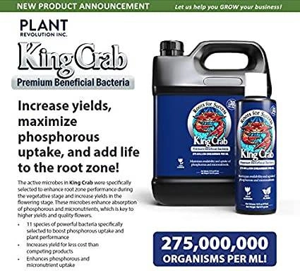 Plant Success King Crab 473ml – naturalny stymulator korzeni i gleby, zwiększa fosfor 
