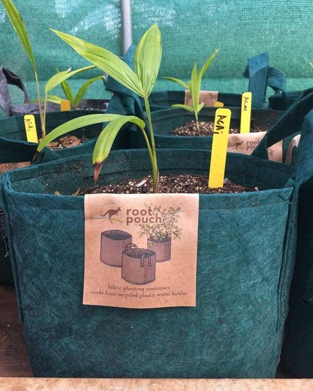 Growbag Root Pouch doniczka materiałowa 28x26cm 16L z uchwytami zielona