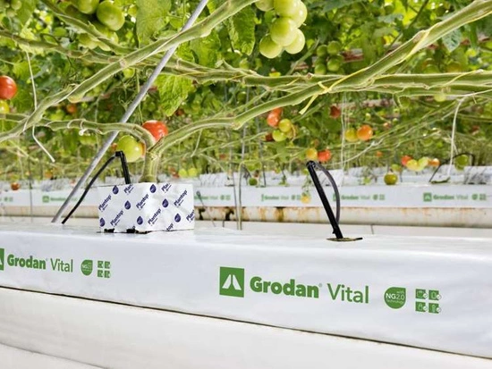 Grodan Mata Vital z wełny mineralnej podłoże do upraw 1m 100X15X7,5 cm