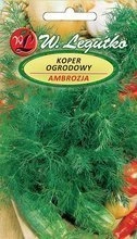 Nasiona Kopru ogrodowego Ambrozja 5g