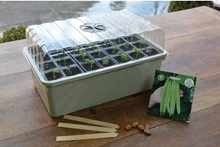 Mini szklarenka propagator Garland z wkładem do ukorzeniania 38x23xh20cm