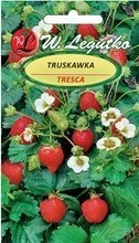 Truskawka Tresca 0,03g