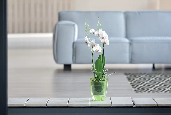 Prosperplast Coubi Orchid 1,5L - Doniczka okrągła przezroczysta do orchidei / storczyków fi 13,2cm 
