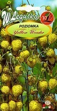 Nasiona Poziomka żółta Yellow Wonder 0,1g