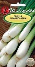 Nasiona Cebuli Siedmiolatka Winter Nest 2g - W. Legutko