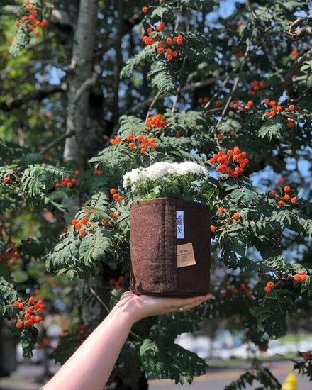 Growbag Root Pouch doniczka materiałowa 35x30cm 30L z uchwytem brązowa