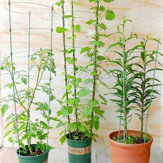 Herbgarden Flower Support Bracket h90cm ϕ28cm - podpórka do roślin