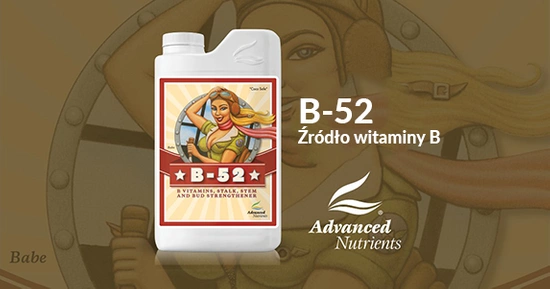 Advanced Nutrients B-52 5l | mieszanka 6 witamin i aminokwasów