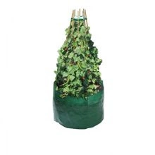 Worek do hodowli grochu i fasoli + obręcz