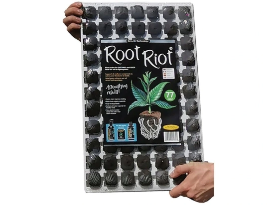 Growth Technology Root Riot Tray 77 - kostki gąbki torfowe do sadzonek / klonów taca 77szt