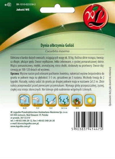 Nasiona Dyni olbrzymiej Golias 3g