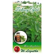 Mięta długolistna 0.10g