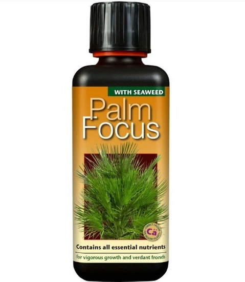 Growth Technology Palm Focus nawóz do palm i juk 300ml