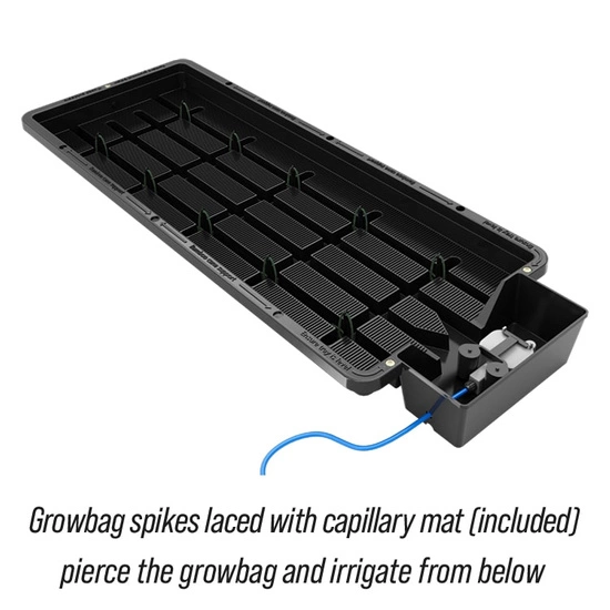 Autopot System nawadniania Tray2Grow - do mikrolistków, grow bagów i wiele innych