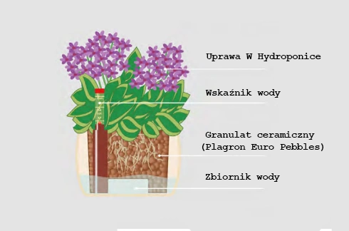 Zestaw do hydroponiki LENI doniczka 11/9 + wskaźnik h9