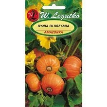 Nasiona dyni olbrzymiej amazonki 3g