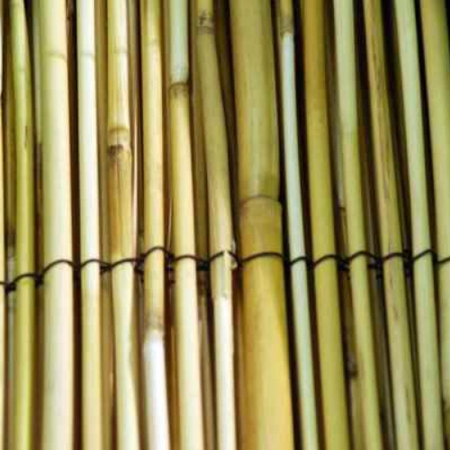  Mata / ogrodzenie bambusowe H2M X L3M