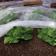 Kingfisher Agrotkanina agrowłóknina do ochrony roślin 1.5x8m