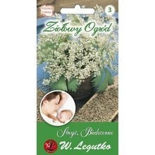 Nasiona Anyż Biedrzeniec 1g