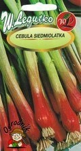 Nasiona Cebuli Siedmiolatka Red Toga 2g - W. Legutko
