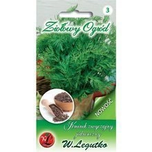 Nasiona Kminku zwyczajnego jednorocznego Sprinter 3g - Kminek