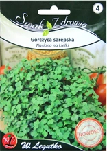 Nasiona na jadalne kiełki gorczycy sarepskiej