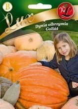 Nasiona Dyni olbrzymiej Golias 3g