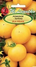 Nasiona Pomidora gruntowego Ola Polka 1g