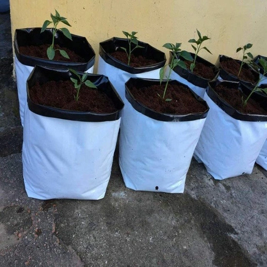 Herbgarden Doniczki foliowe 2gal / 7,5L 1szt