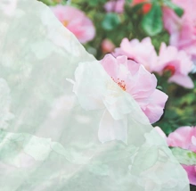 Garland Agrotkanina agrowłóknina do ochrony roślin 1x16m