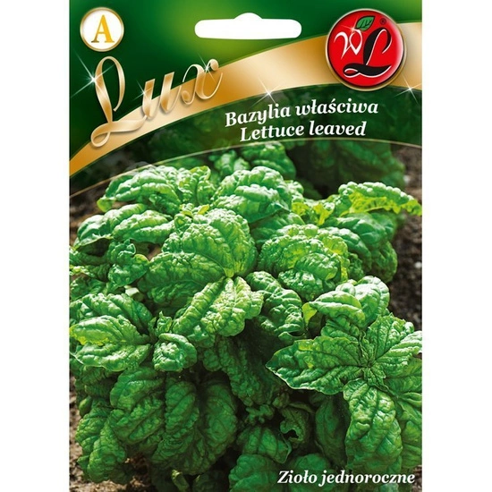 Nasiona Bazylii Zielonej Lettuce leaved 1g