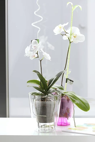 Zestaw Coubi Orchid 2,4L + wkład - Doniczka okrągła przezroczysta do orchidei / storczyków fi 16cm 