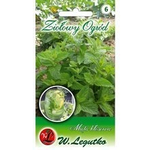 Mięta kłosowa 0.10g