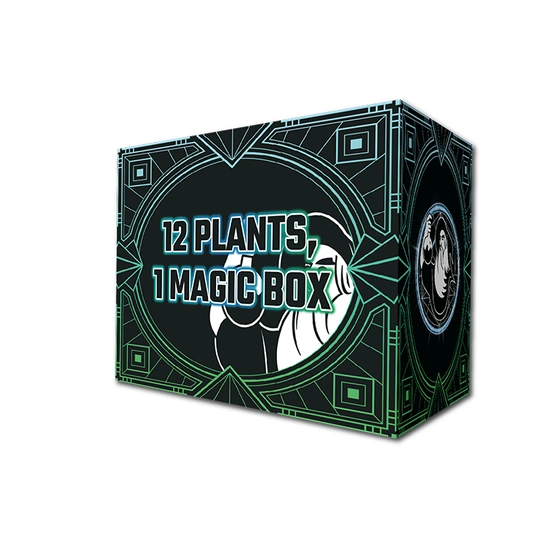 Cannaboom Potion Box - zestaw nawozów na cały cykl uprawy