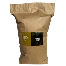 Urban Jungle Bigos podłoże ziemia dla roślin tropikalnych typu Palma, Fikus, Yuka i Dracena 15L