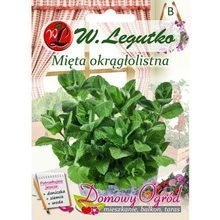 Nasiona Mięty długolistnej 0.1g