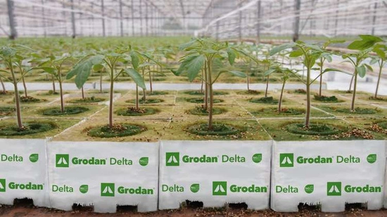 Grodan Delta kostka z wełny mineralnej 15x10x6,5cm z otworem 27mm