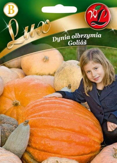 Nasiona Dyni olbrzymiej Golias 3g