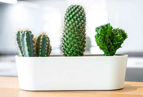 LENI Doniczka na parapet podłużna Flori 36x14x11 cm biała