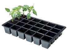 Wkład do wysiewu do propagatora Garland czarna 36,5 x 22 x 6cm 2 x 24 komórki