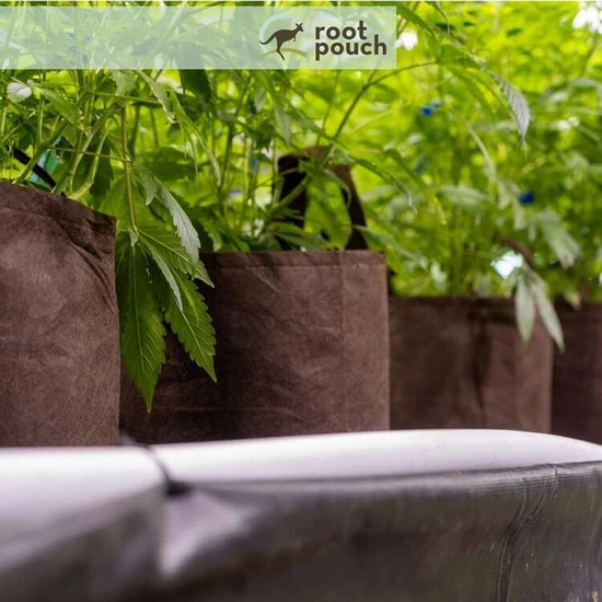 Growbag Root Pouch doniczka materiałowa 28x26cm 16L z uchwytami brązowa 420 szt