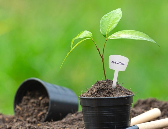 Herbgarden Plant Tags - białe tabliczki do oznaczania roślin 20szt