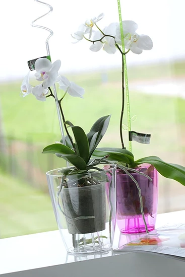 Zestaw Coubi Orchid 2,4L + wkład - Doniczka okrągła przezroczysta do orchidei / storczyków fi 16cm 