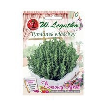 Nasiona Tymianku właściwego Słoneczko 0,3g Tymianek właściwy