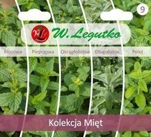 Nasiona Mięt - 5 odmian 5 x 0,1g