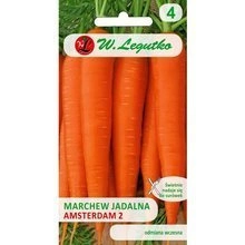 Nasiona marchwi jadalnej Amsterdam 2 1g