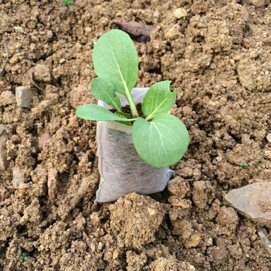 White Grow Bag 9,5 x 34,5 cm 2,45L 50 sztuk - biodegradowalne doniczki materiałowe do rozsad
